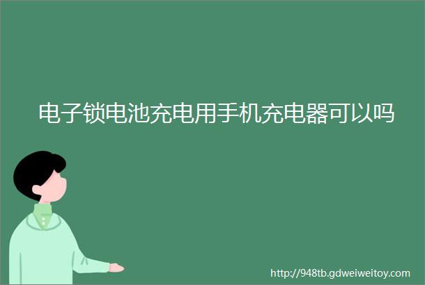 电子锁电池充电用手机充电器可以吗